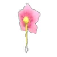 Cherry Blossom Earring - Uncommon from Spring Fest 2023